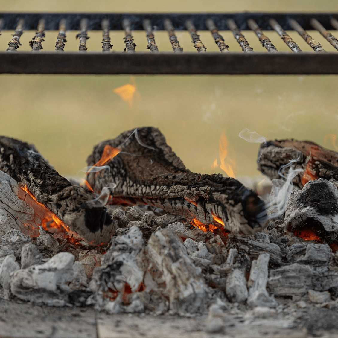 Fire_Smoke_Wood_Grill.png