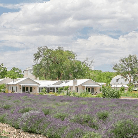 Los Poblanos Lavender Lemonade