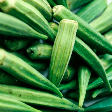 Okra_green_vegetable.png