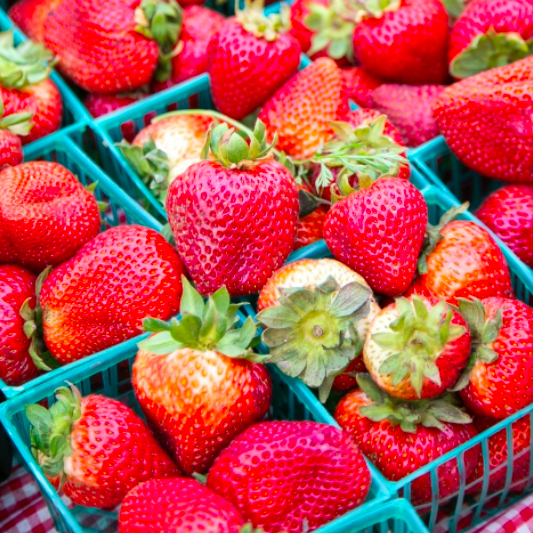 Strawberries_Fresh_Strawberry