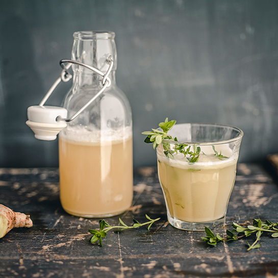 The Art of Fermentation