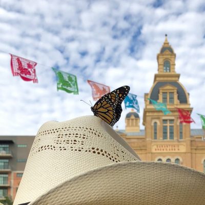 Pollinator Appreciation Month at Pearl Feat. Honey at Hotel Emma