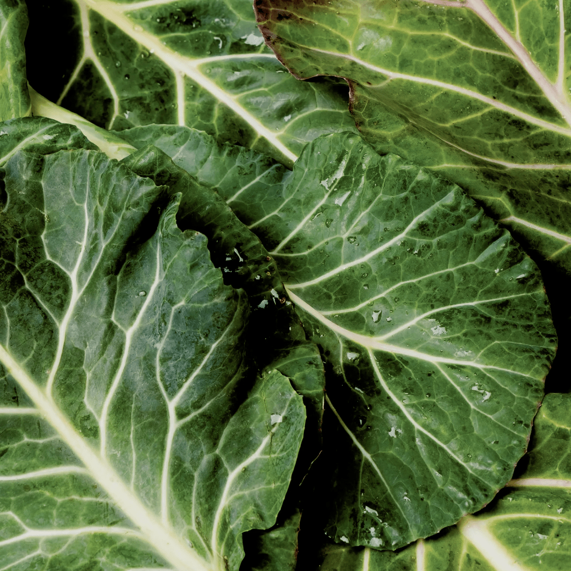 Green_Leaf_Vegetable.png