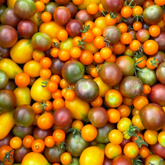 Vegetable_Tomatoes