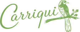 Carriqui_PrimaryLogo_RGB_LtGreen