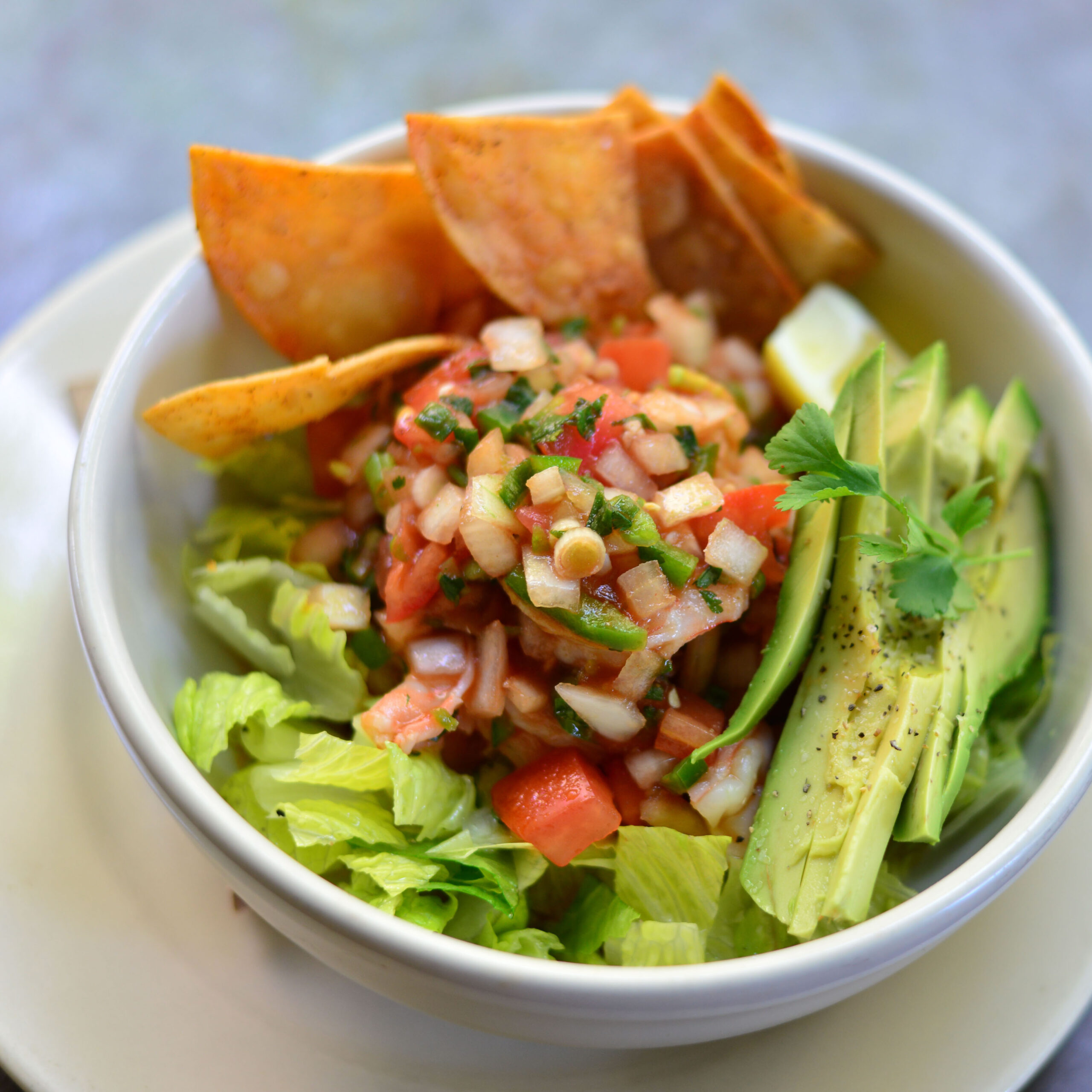 ShrimpCampechana