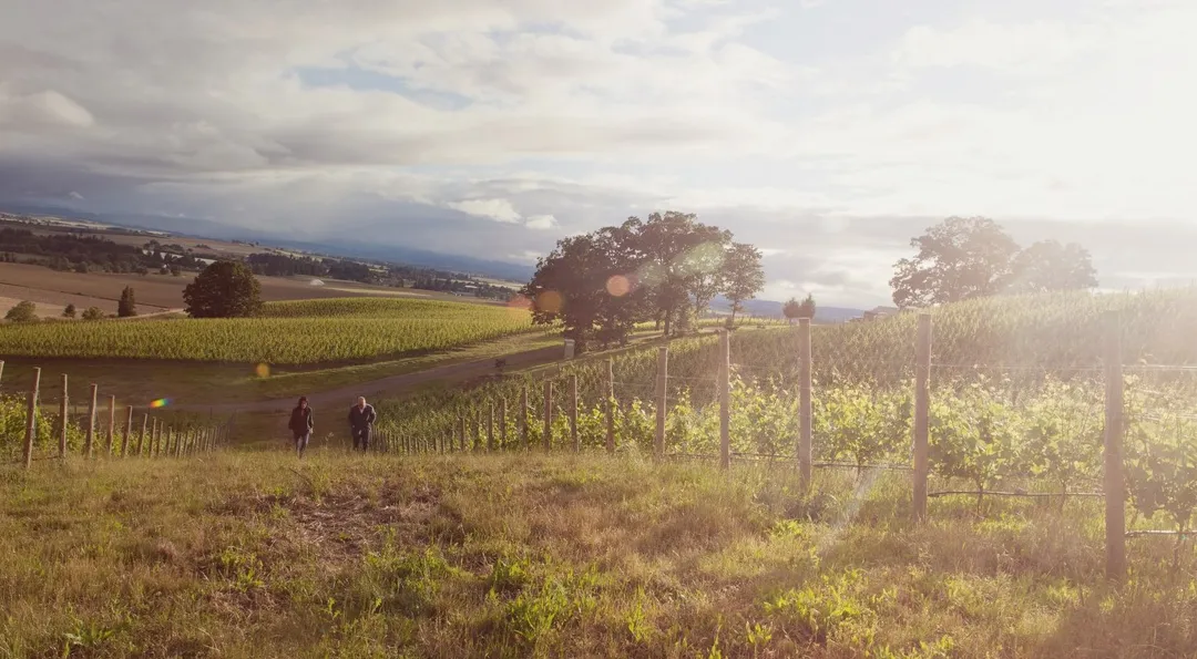 01007655f035e59f7d021a638f577e2b7a061c02ae696a9a