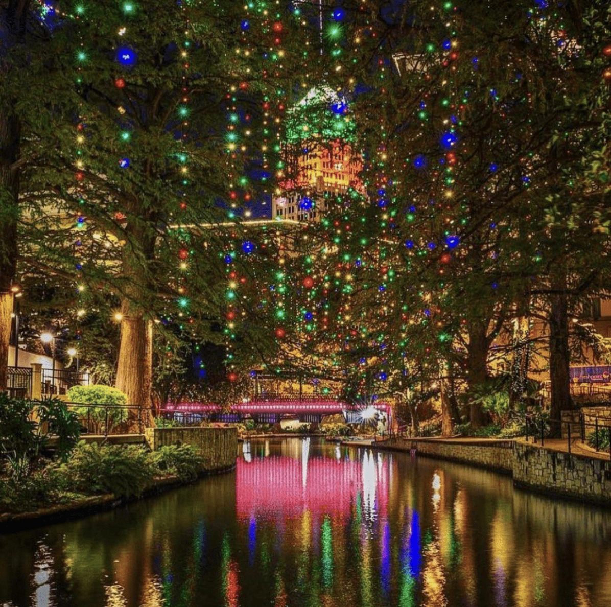 Image on 2025-11-04 at 15-58-49