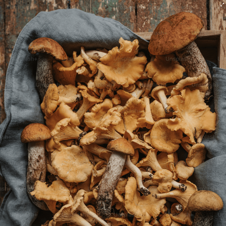 Image on 2025-11-04 at 16-42-03