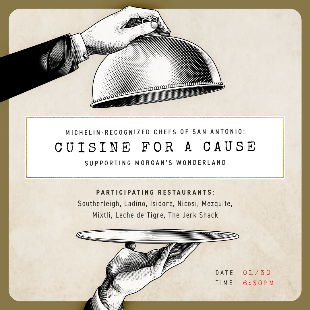 0dc1e7065cd3c52ccdc98d3170e39170205ceae3ce539b69