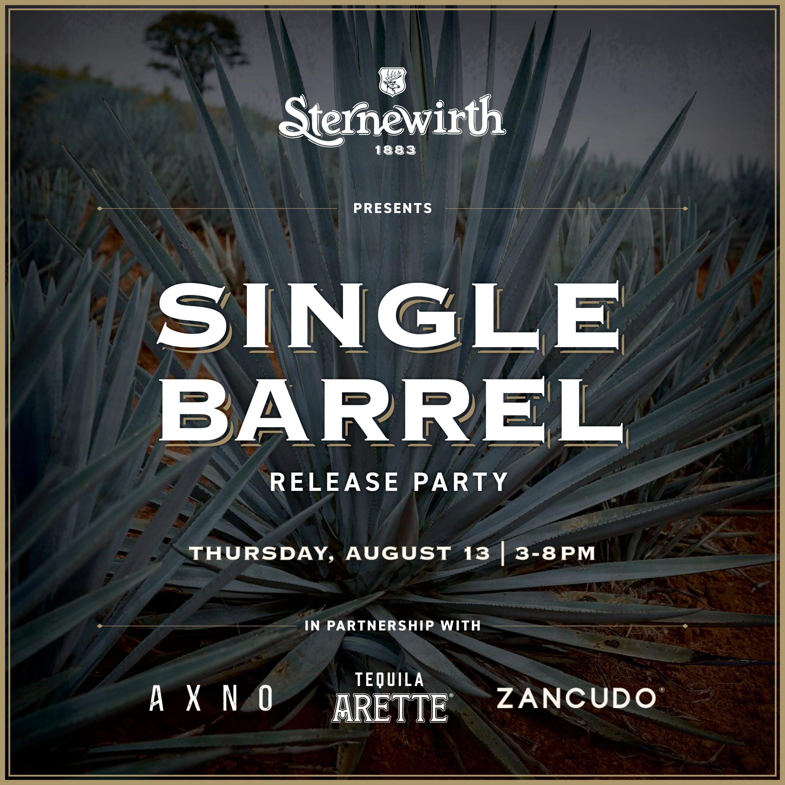 HE-Sterne-SingleBarrelRelease-Square